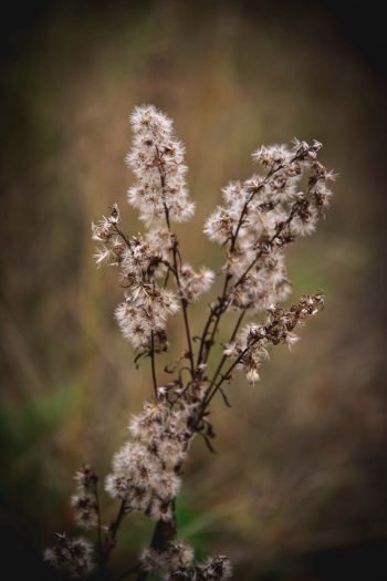 Autumn in Finland - The Adagio Blog by Thais FK