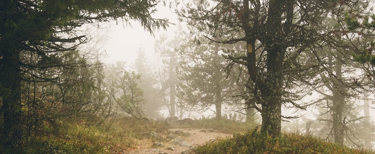 Autumn and routines in Finland - The Adagio Blog by Thais FK