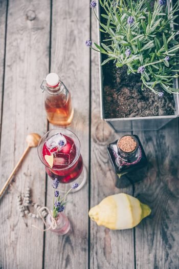 Blueberry Lavender Mocktail by Cocktails Adagio on The Adagio Blog
