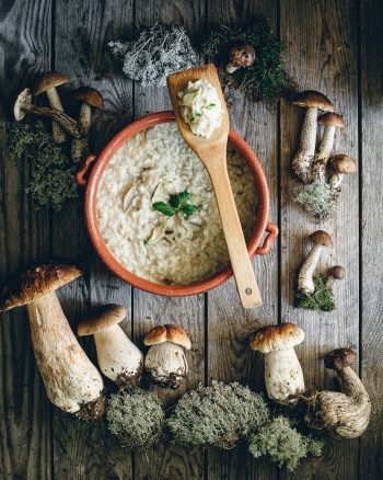 Wild Mushroom Risotto - Nordic Foraging - The Adagio Blog