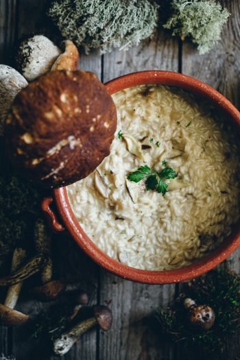 Wild Mushroom Risotto - Nordic Foraging - The Adagio Blog