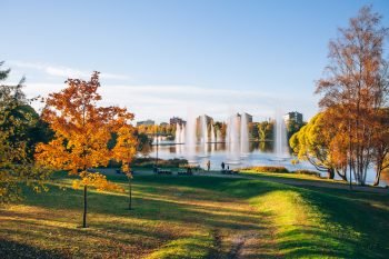 Ruska, the autumn colors of Oulu - The Adagio Blog - Photo by Thais FK
